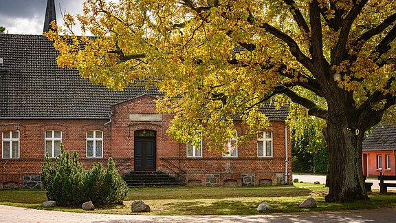 Ein historisches Gebäude aus roten Ziegeln mit einem zentralen Eingang und großen Fenstern. Vor dem Gebäude stehen ein großer, gelber Baum und einige Sträucher. Der Himmel ist bewölkt, und die Atmosphäre wirkt ruhig und einladend.
