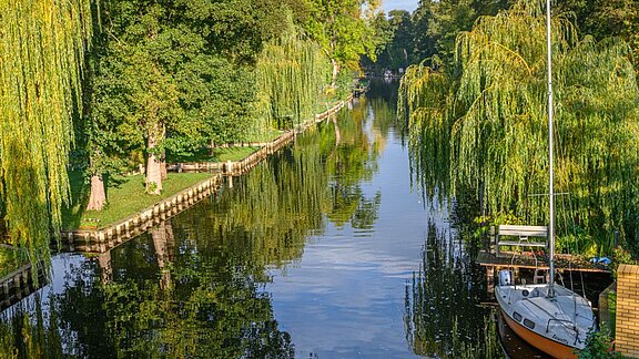Ein ruhiger Wasserkanal wird von hohen, grünen Bäumen und Weiden gesäumt. Die Wasseroberfläche spiegelt die Umgebung wider. Ein kleines Boot liegt an einem Steg. Die Szenerie vermittelt eine friedliche und natürliche Atmosphäre.