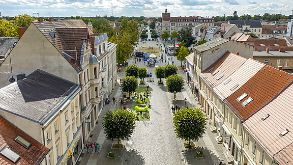 Eine Luftaufnahme einer lebhaften Stadtstraße mit gepflastertem Boden. Auf beiden Seiten stehen Bäume und historische Gebäude. Im Hintergrund ist ein Platz mit Menschen und Zelten, umgeben von weiteren Gebäuden und einem Kirchturm in der Ferne. Der Himmel ist bewölkt, aber hell.