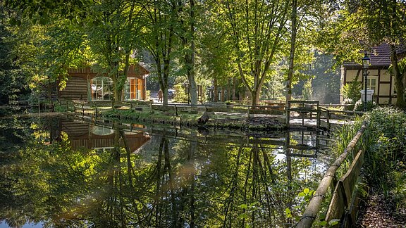 Ein ruhiger Teich spiegelt die umgebenden Bäume und Gebäude wider. Im Hintergrund sind ein Holzhaus mit großen Fenstern und ein weiteres, traditionelles Gebäude zu sehen. Die Szene ist von viel Grün und sanftem Licht geprägt, was eine idyllische Atmosphäre schafft.