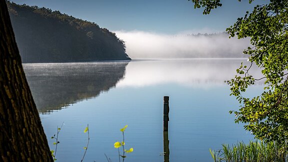 Ruhiger See bei Morgennebel, umgeben von sanften Hügeln. Ein einzelner Pfahl steht im Wasser, die Oberfläche ist glatt und spiegelt die Umgebung wider. Grüne Pflanzen am Ufer ergänzen die friedliche Atmosphäre.