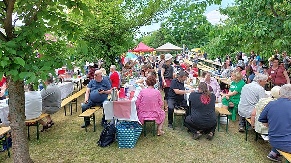 Eine lebhafte Freiluftveranstaltung mit einer großen Anzahl von Menschen, die an langen Tischen sitzen. Einige genießen Essen und Trinken, während Bäume für Schatten sorgen. Im Hintergrund sind bunte Zelte zu sehen, die zur festlichen Atmosphäre beitragen.