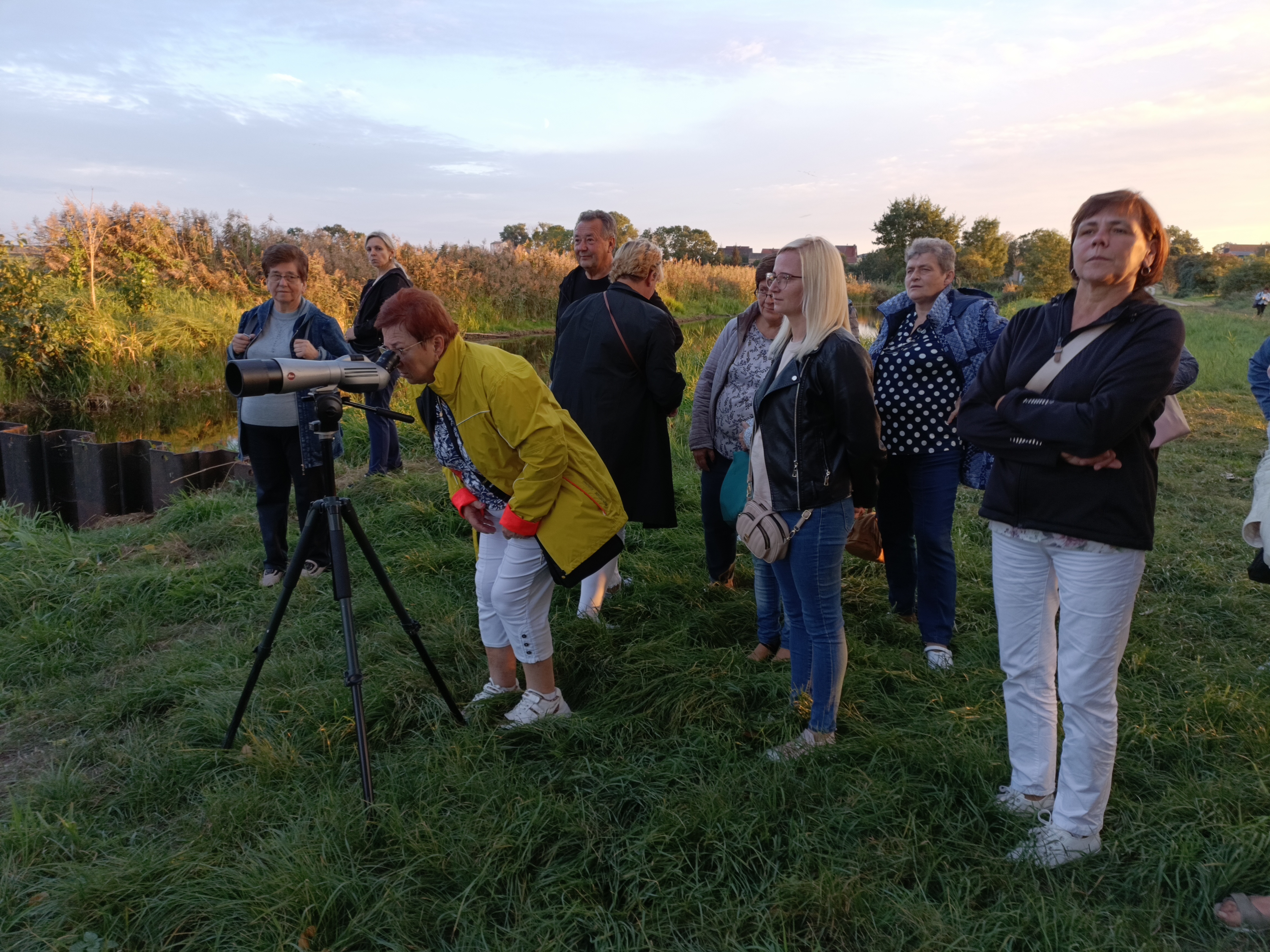 Gruppe Erwachsener auf einer Wiese. Eine Frau blickt durch ein Fernrohr auf einem Stativ, andere schauen zu oder warten. Naturbeobachtung im warmen Abendlicht.