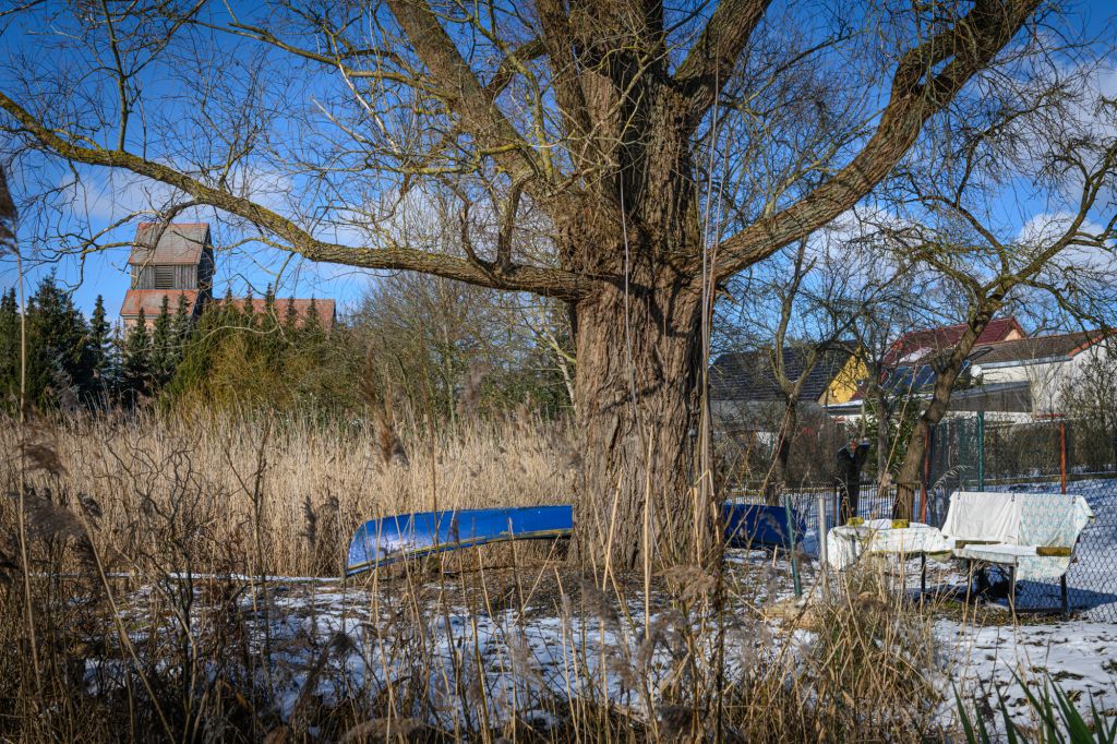 Eine große, alte Baum steht in einem offenen Feld mit hohem Gras. In der Nähe liegen ein blauer Kahn und einige Gartenmöbel. Im Hintergrund sieht man eine Kirche mit einem schrägen Dach und einige Häuser. Der Himmel ist klar und blau.