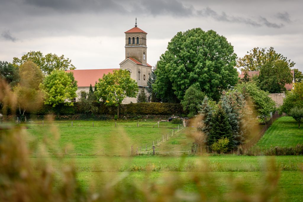 Eine idyllische ländliche Szene zeigt eine Kirche mit einem Turm, umgeben von grünen Bäumen und einem weitläufigen Wiesenfeld. Der Himmel ist bewölkt, und in der Nähe sind Hecken und weitere Pflanzen sichtbar. Die Atmosphäre ist ruhig und beschaulich.