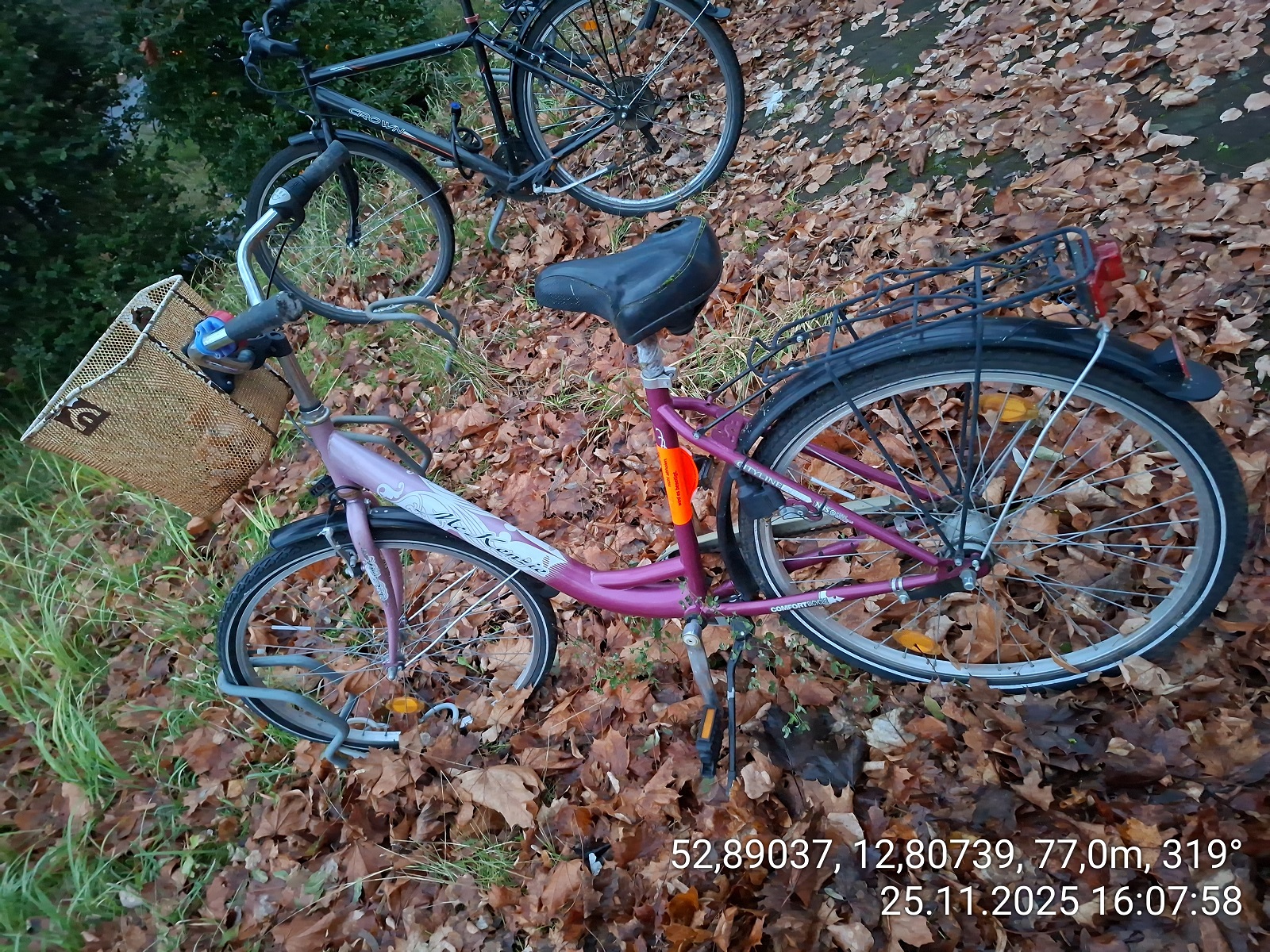 Lila/Weiß Cityrad steht im Herbstlaub. Vorn ein geflochtener Lenkerkorb, hinten ein Gepäckträger. Im Hintergrund ist ein weiteres Fahrrad zu sehen.
