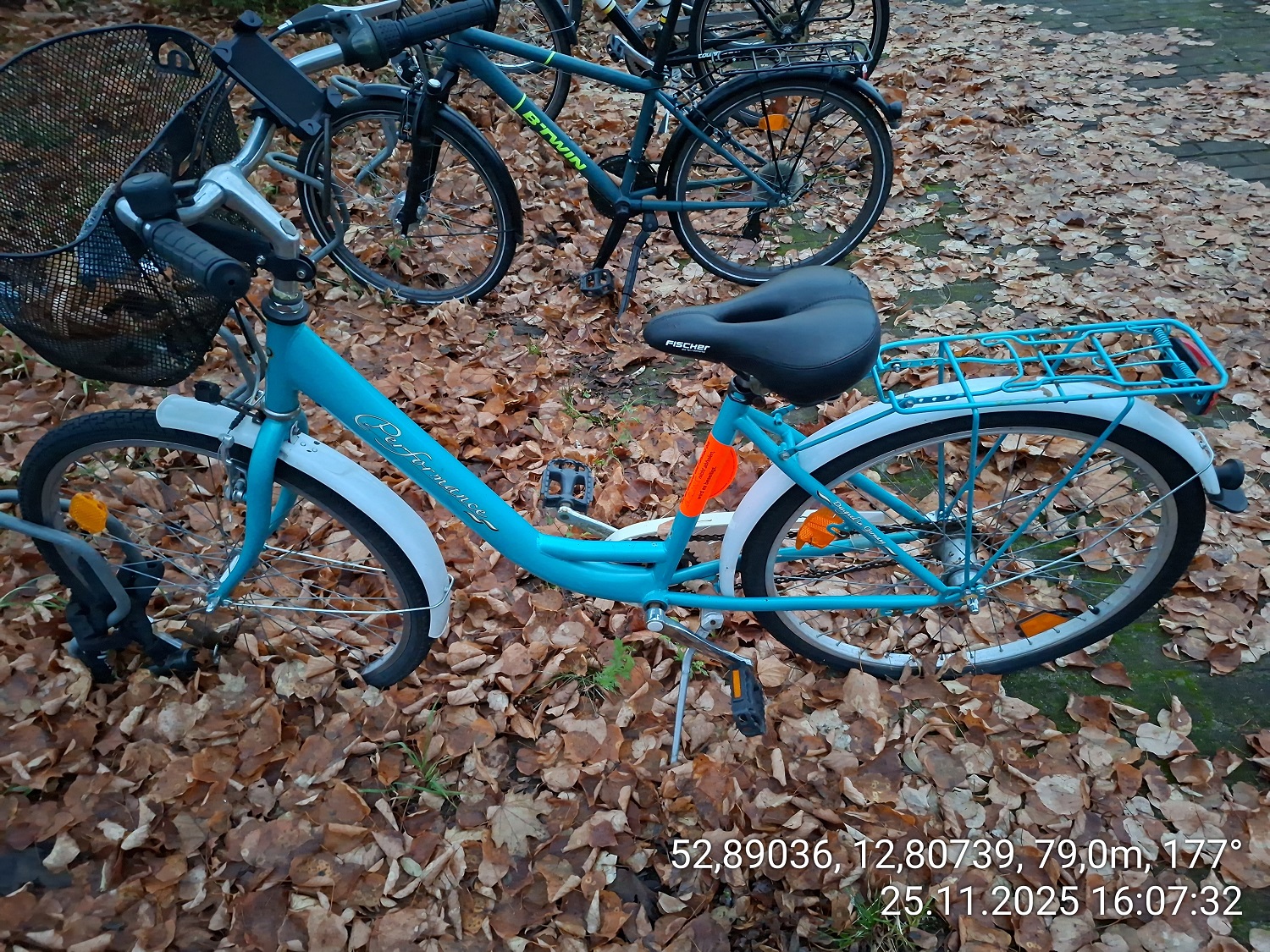 Blaues Cityrad mit weißem Schutzblech, schwarzem Korb vorn und Gepäckträger hinten, seitlich fotografiert. Es steht geparkt zwischen weiteren Fahrrädern auf einem mit Herbstlaub bedeckten Boden.