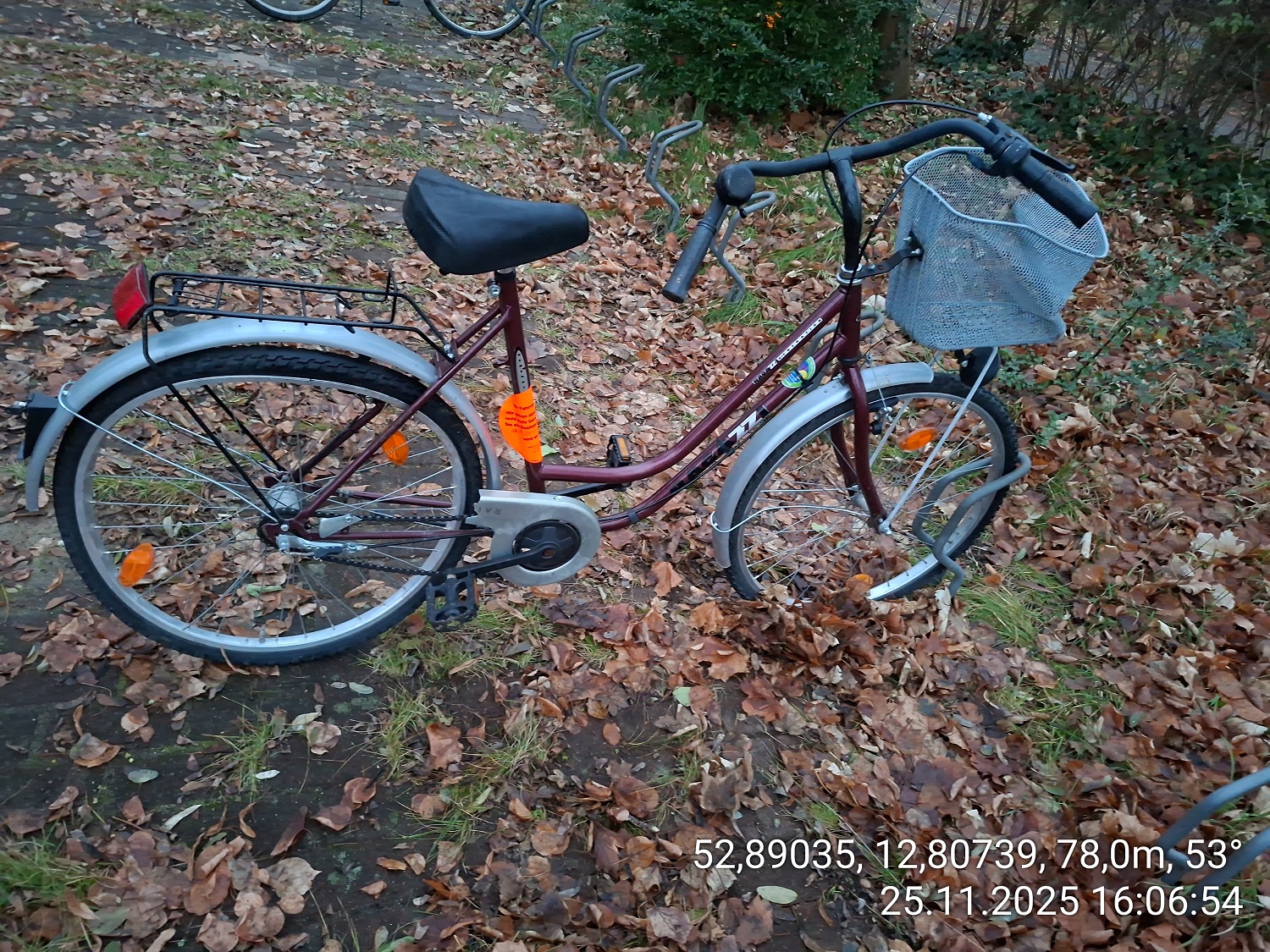 Violettes Stadtfahrrad mit tiefem Einstieg, silbernen Schutzblechen, Reflektoren und Lenkerkorb. Es steht auf laubbedecktem Boden in der Nähe eines Fahrradständers.